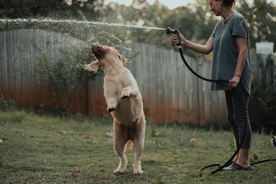Garden Hose