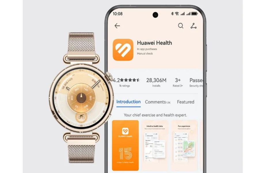 Body Weight and Fitness Levels Shape Your Calorie Output