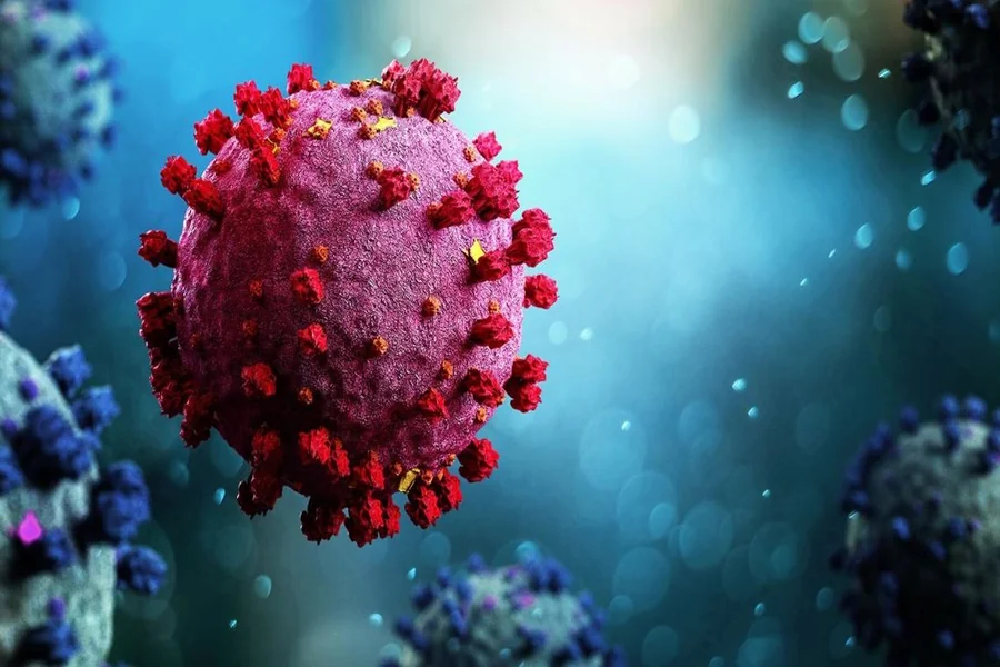 Parasitic Infections