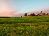 Buying Land