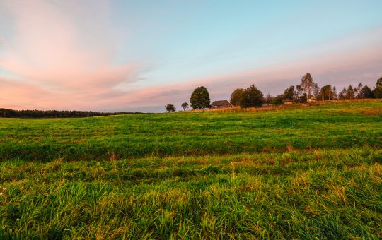 Buying Land